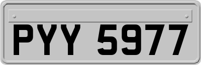 PYY5977