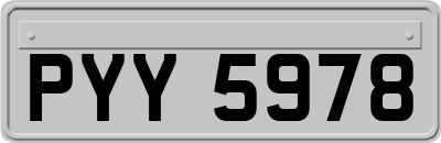 PYY5978