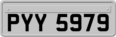 PYY5979