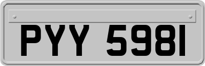 PYY5981