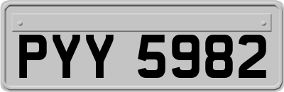PYY5982