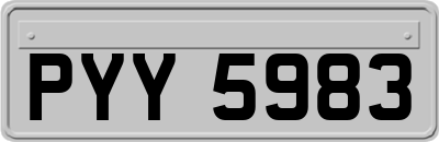 PYY5983