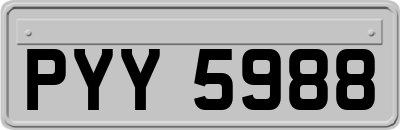 PYY5988