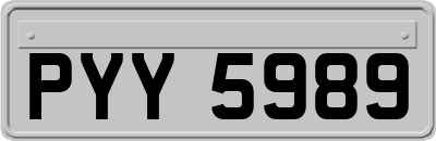 PYY5989