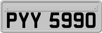 PYY5990