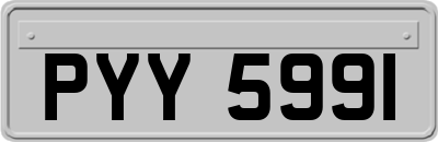 PYY5991