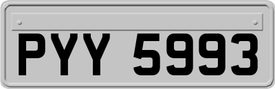 PYY5993