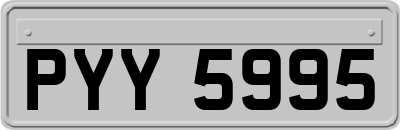 PYY5995