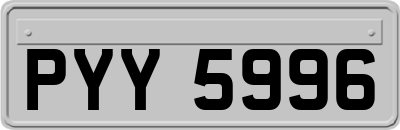 PYY5996