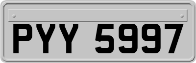PYY5997