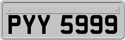 PYY5999