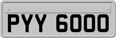 PYY6000