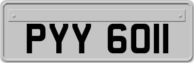 PYY6011