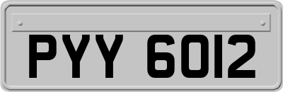 PYY6012