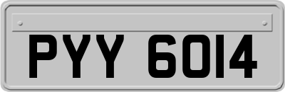 PYY6014