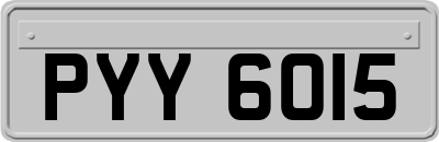 PYY6015