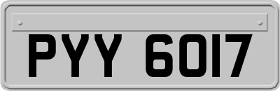 PYY6017
