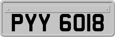 PYY6018