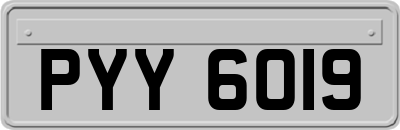 PYY6019