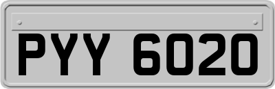 PYY6020