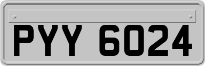 PYY6024