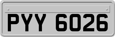 PYY6026