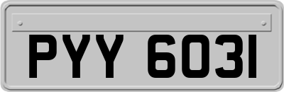 PYY6031