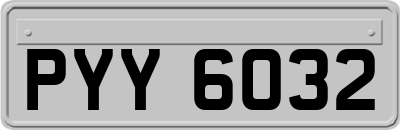 PYY6032