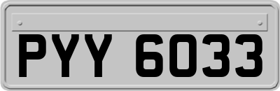 PYY6033