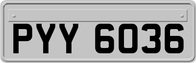PYY6036