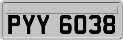 PYY6038