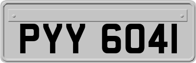 PYY6041