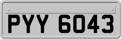PYY6043