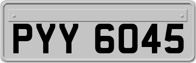 PYY6045
