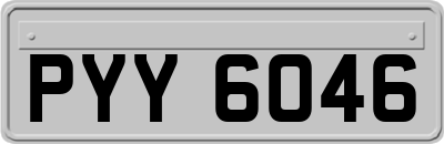 PYY6046