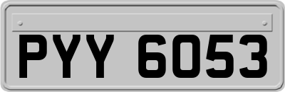 PYY6053