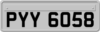 PYY6058