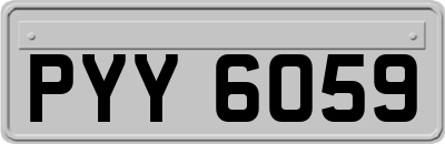 PYY6059