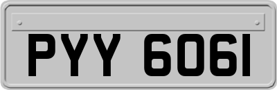 PYY6061