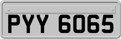 PYY6065