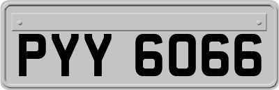 PYY6066