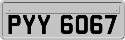 PYY6067