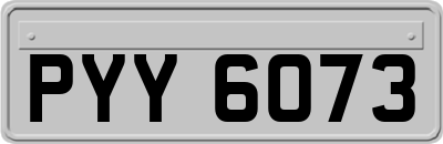 PYY6073