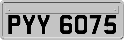 PYY6075