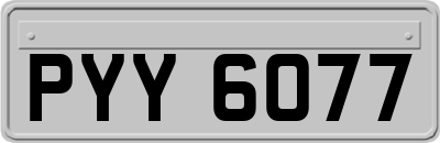 PYY6077