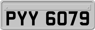 PYY6079