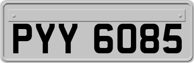 PYY6085