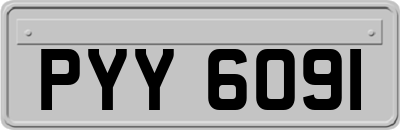 PYY6091
