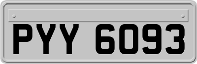 PYY6093