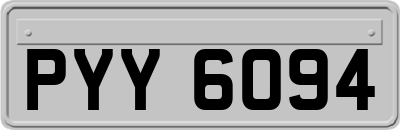 PYY6094
